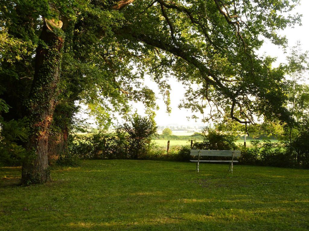 Chateau De Vesset Bed and Breakfast Tréteau Εξωτερικό φωτογραφία